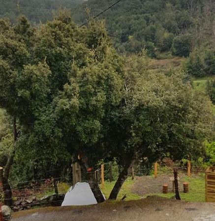 Camping L'Agrottu Au Coeur De La Corse Santa-Lucia-di-Mercurio Екстериор снимка