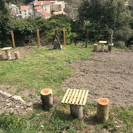 Camping L'Agrottu Au Coeur De La Corse Santa-Lucia-di-Mercurio Екстериор снимка