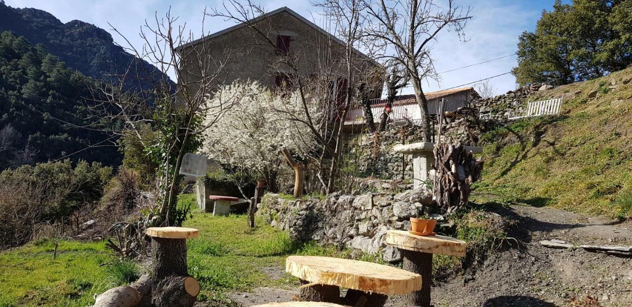 Camping L'Agrottu Au Coeur De La Corse Santa-Lucia-di-Mercurio Екстериор снимка