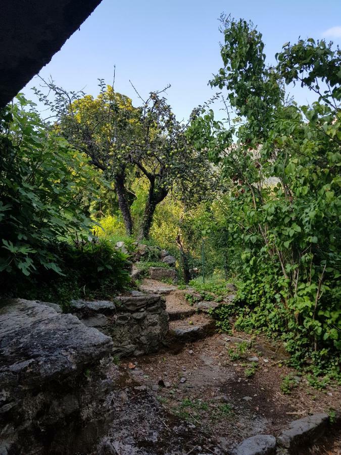 Camping L'Agrottu Au Coeur De La Corse Santa-Lucia-di-Mercurio Екстериор снимка