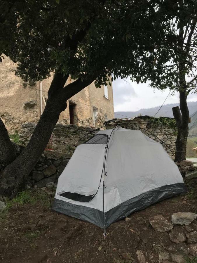 Camping L'Agrottu Au Coeur De La Corse Santa-Lucia-di-Mercurio Екстериор снимка