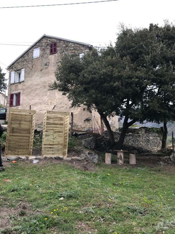 Camping L'Agrottu Au Coeur De La Corse Santa-Lucia-di-Mercurio Екстериор снимка