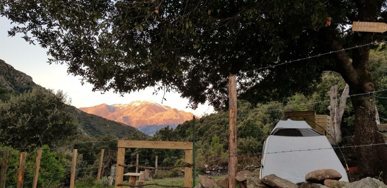 Camping L'Agrottu Au Coeur De La Corse Santa-Lucia-di-Mercurio Екстериор снимка