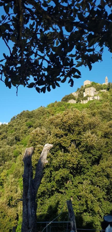 Camping L'Agrottu Au Coeur De La Corse Santa-Lucia-di-Mercurio Екстериор снимка